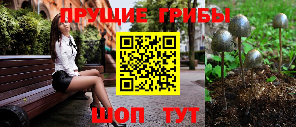 Галлюциногенные грибы ЛСД  Вход с VPN  Галлюциногенные грибы мицелий  Волгодонск 